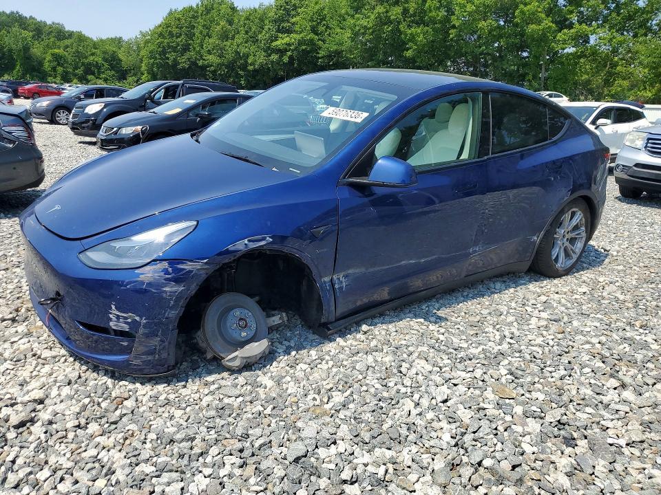 2024 Tesla Model y