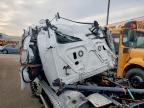 2019 Freightliner Cascadia 116 BOX Truck