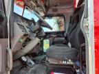 2019 Peterbilt 389 Semi Truck
