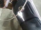 2024 E-Bike Alpine Stars