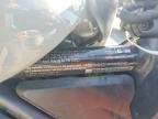 2024 Harley-Davidson RH1250 S
