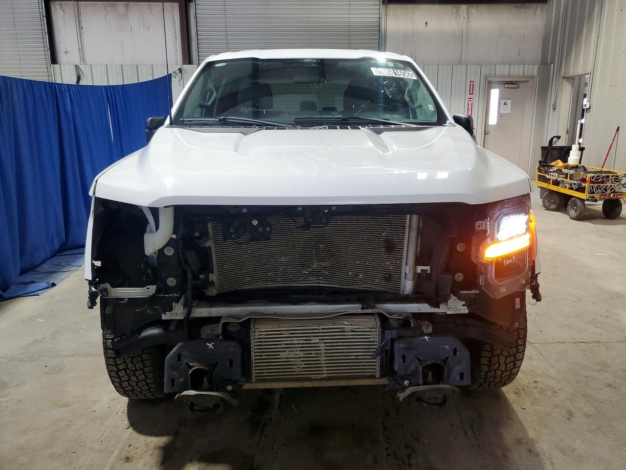 2025 Ford F150 XLT