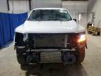 2025 Ford F150 XLT