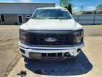 2025 Ford F150 STX