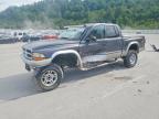 2003 Dodge Dakota Quad SLT