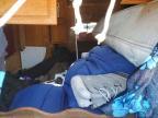 1967 Roadtrek Motorhomes 1967 Camper