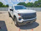 2024 Chevrolet Silverado C1500