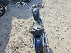 2007 Harley-Davidson XL883 L