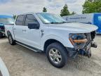 2024 Ford F150 XLT