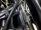 2026 Triumph Trident 800