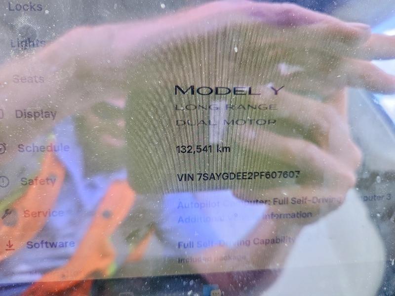 2023 Tesla Model y