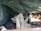 1986 Tiara Sportboats Boat-Boat