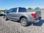 2025 Ford F150 XLT