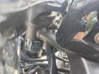 2020 Kawasaki EX650 N