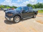 2025 Ford F150 XLT