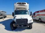 2025 International MV607 Refrigerated BOX Truck