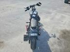 2019 Harley-Davidson Fxbb