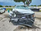 2024 Ford F150 STX