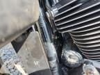 2021 Harley-Davidson Flhtk