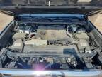 2023 Toyota Tundra 1794 Edition