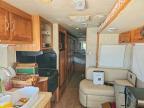2004 Georgieboy 2003 Georgieboy Pursuit RV