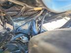 2021 Harley-Davidson Fltrk