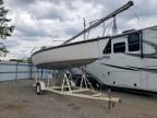 1981 Unknown Boat