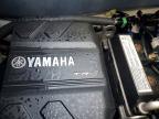 2023 YAM VX
