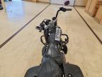 2019 Harley-Davidson Flhcs