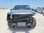 2024 Ford F150 XLT