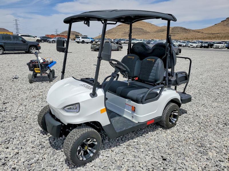 2025 Renegaderv 2025 Renegade Golf Cart