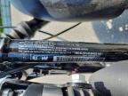 2020 Harley-Davidson XL883 N