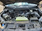 2025 Ford F150 XLT