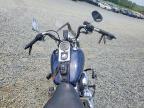 2008 Harley-Davidson Fxstc