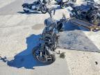 2024 Harley-Davidson Fxlrst
