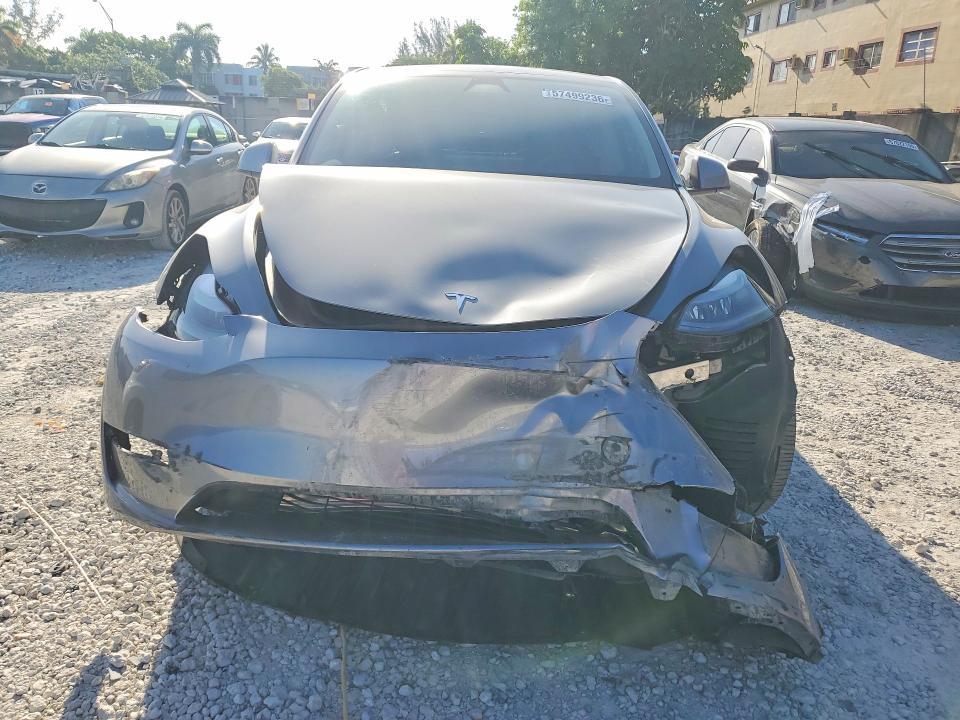 2025 Tesla Model y