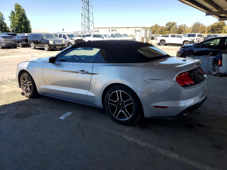 2019 Ford Mustang