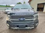 2024 Ford F150 Platinum