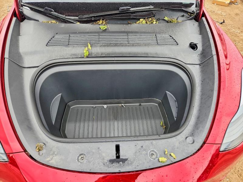 2024 Tesla Model  y