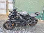 2025 Yama YZFR7