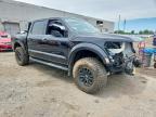 2024 Ford F150 Raptor