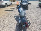 2025 Harley-Davidson Fltrx
