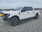 2025 Ford F150 STX