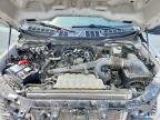 2024 Ford F150 STX