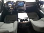 2024 Ford F150 XLT