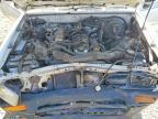 1991 Toyota Pickup Base