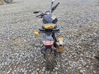 2023 BMW G310 R