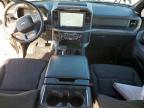 2025 Ford F150 XLT