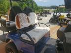 2010 Ezgo Rebel Golf Cart