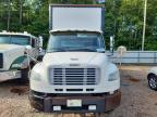 2020 Frht - Freightliner 2020 Freightliner Business Class M2 Curtain Side T
